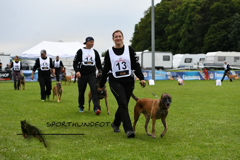 Impressionen 665.jpg